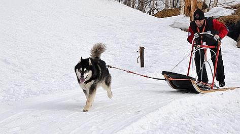 Anut in azione